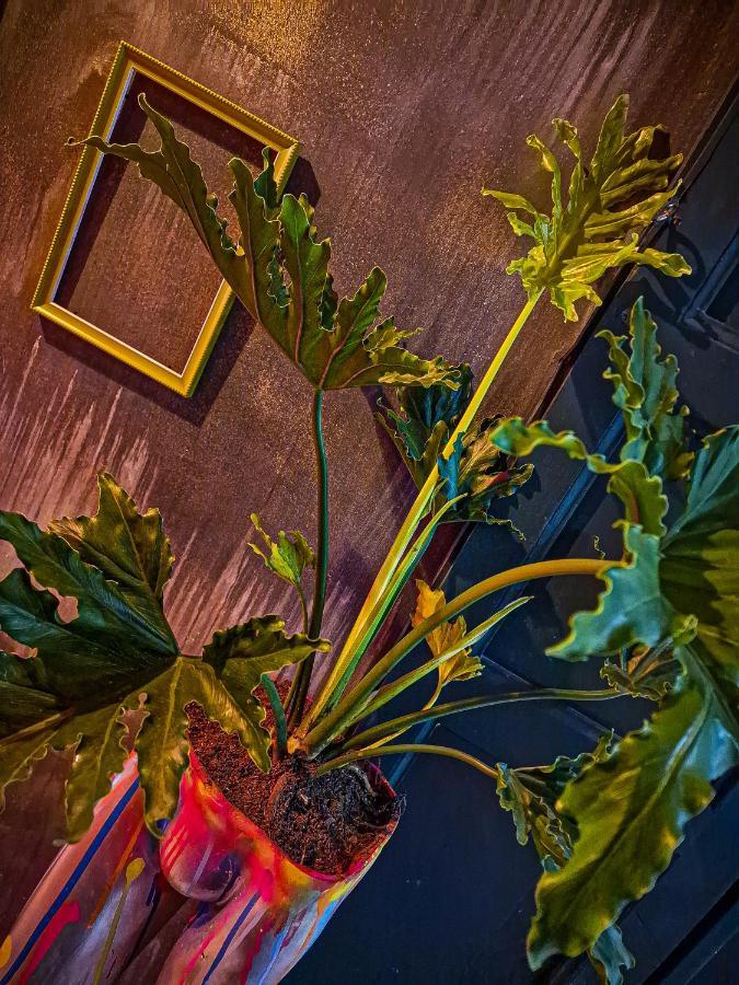 Urban Hostal Bar Bucaramanga Eksteriør bilde
