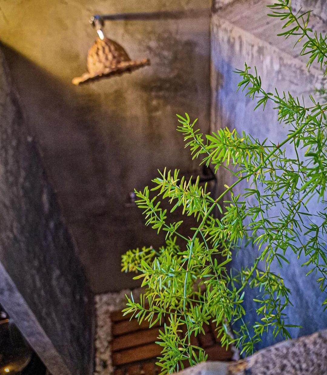 Urban Hostal Bar Bucaramanga Eksteriør bilde